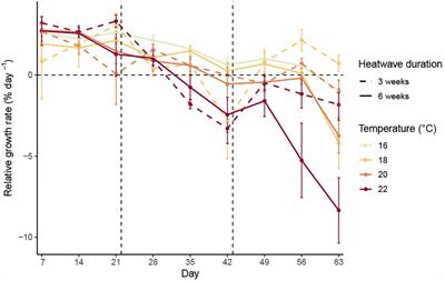 Marine heatwave intensity and duration negatively affect growth in young sporophytes of the giant kelp Macrocystis pyrifera